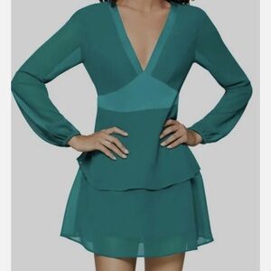 BCBG Green Long-sleeve Dress